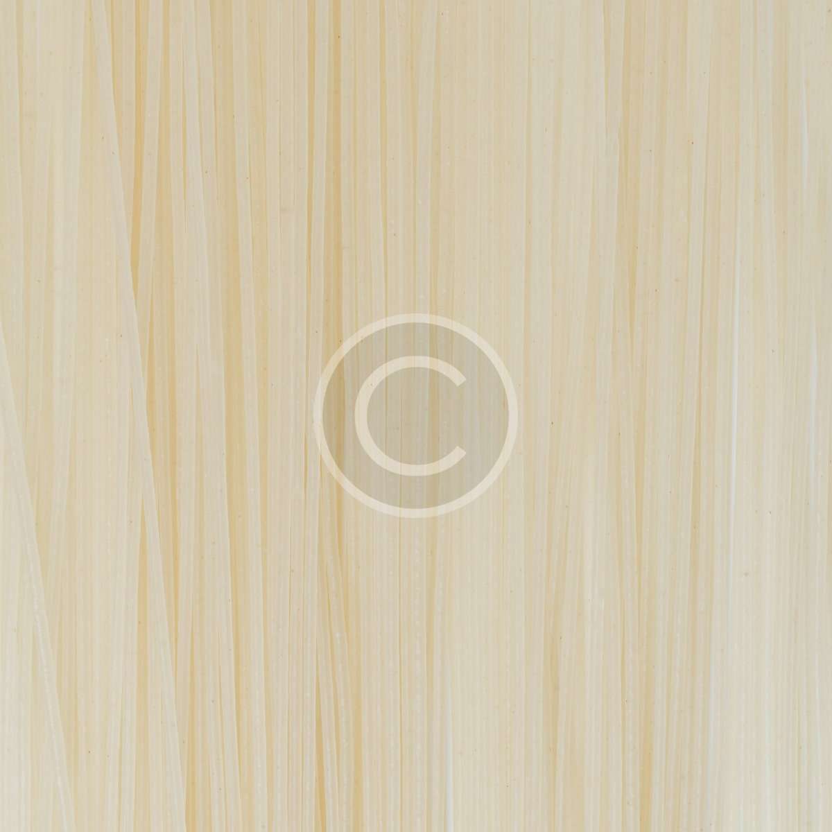 product10-copyright
