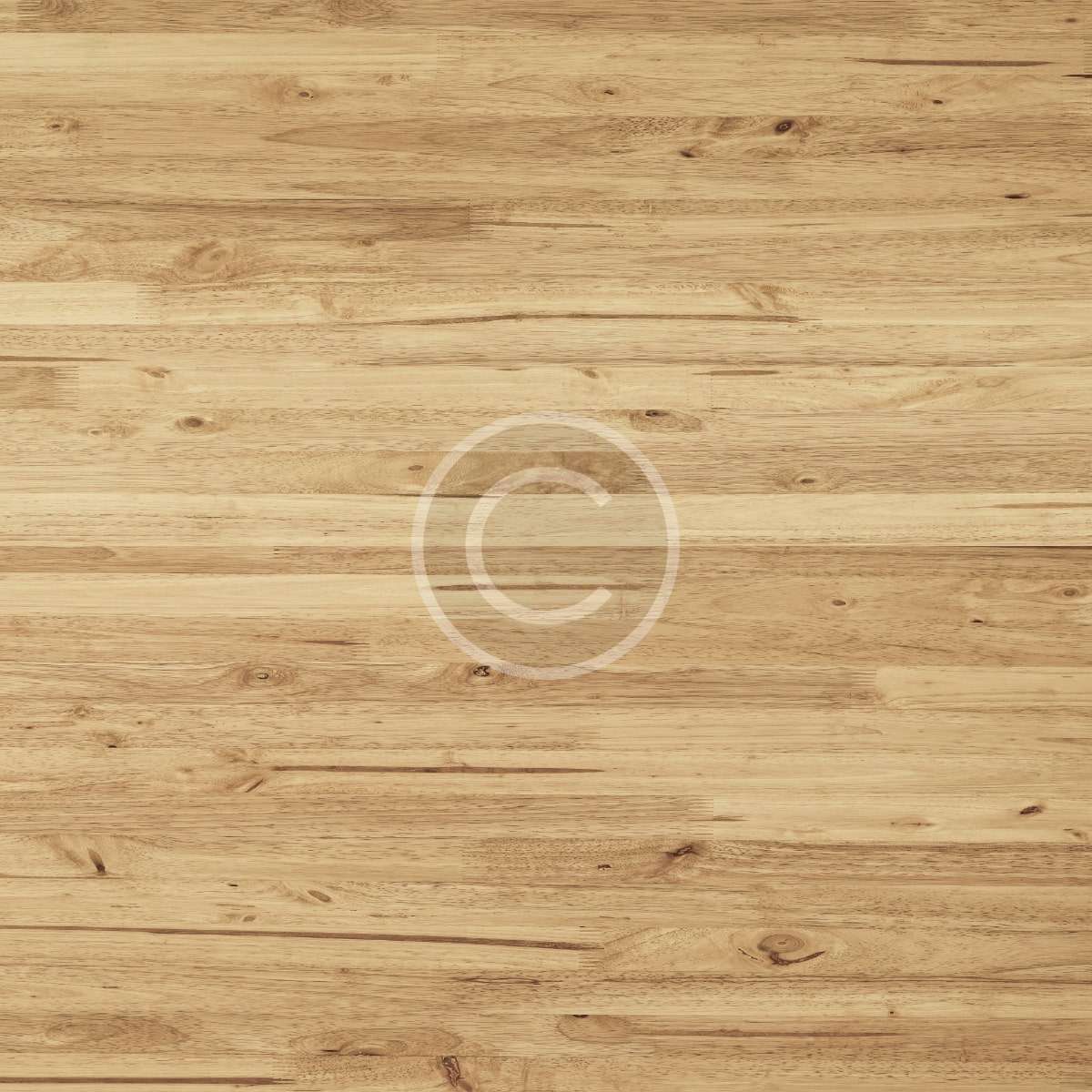 product4-copyright