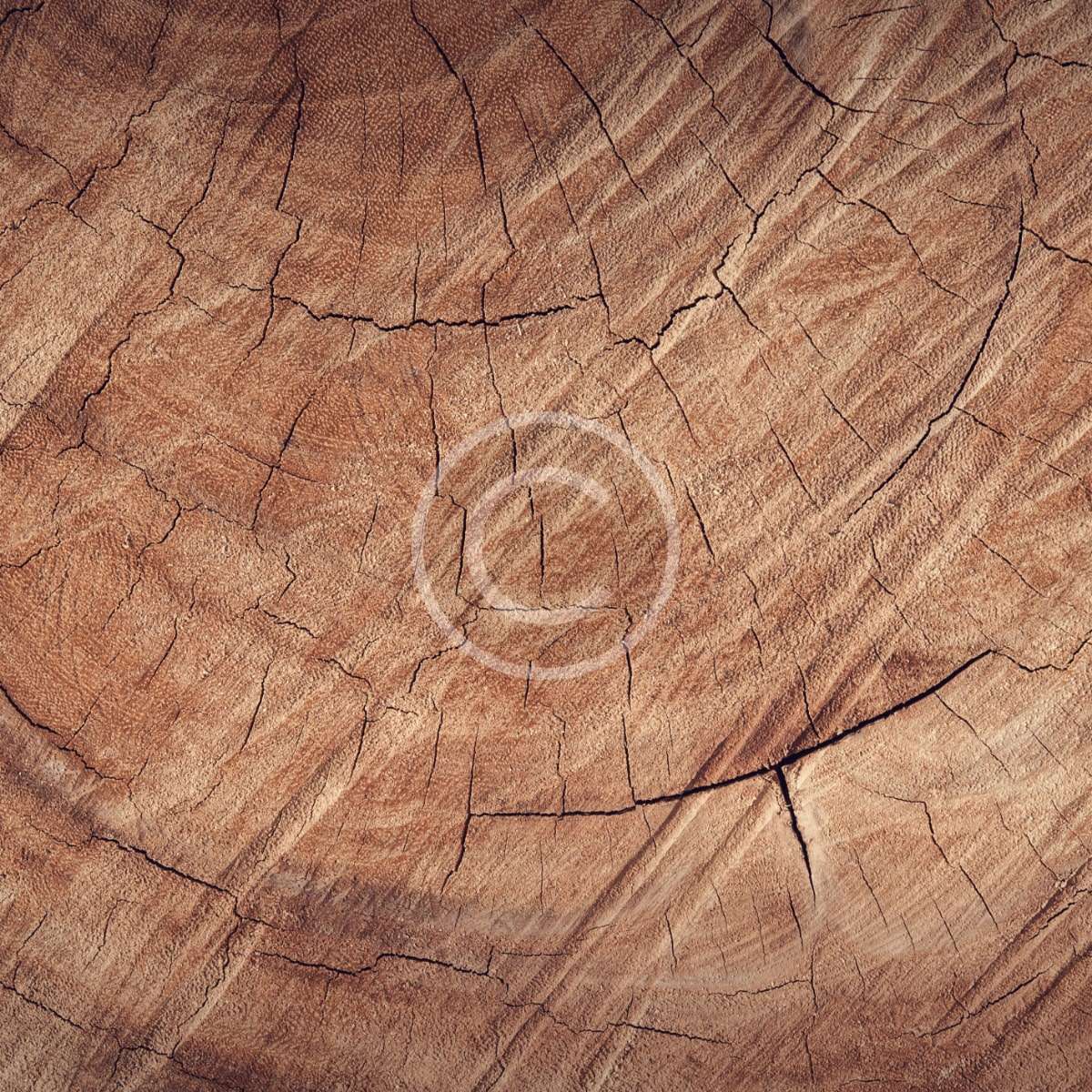 product9-copyright